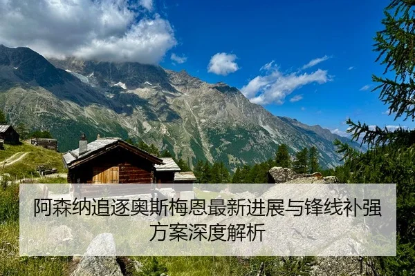 阿森纳追逐奥斯梅恩最新进展与锋线补强方案深度解析